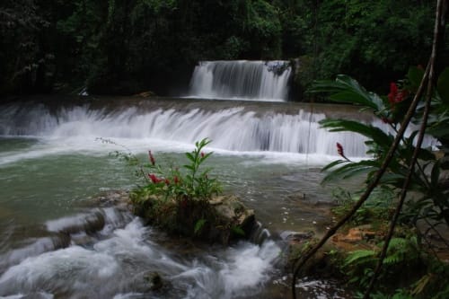 YS Wasserfall- Jamaika Sehenswürdigkeit