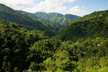 Backpacking Rundreise in die Blue Mountains nach Jamaika